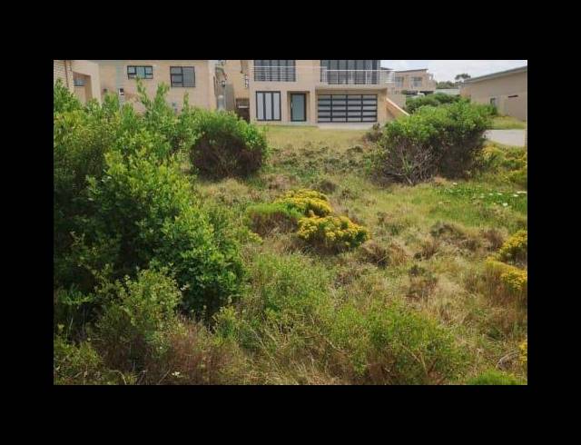 LAND FOR SALE IN BLUE RIDGE